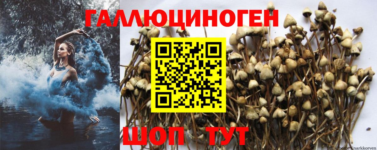 Галлюциногенные грибы Cubensis Холмск