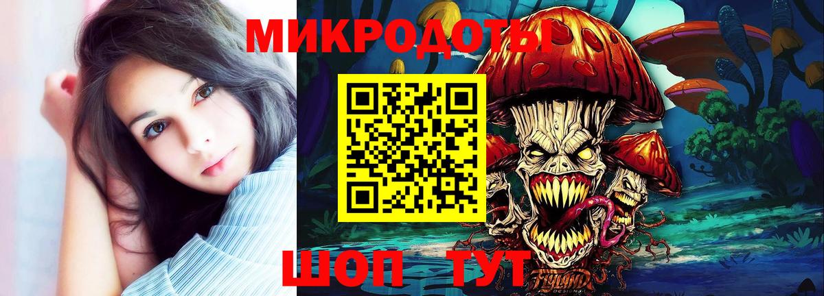 Псилоцибиновые грибы Psilocybe  Вход с VPN  Холмск 